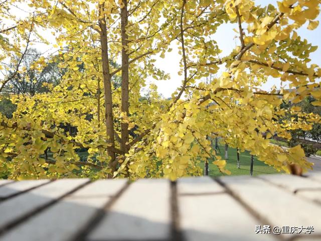 重大限定皮肤上新，超出片！🤳