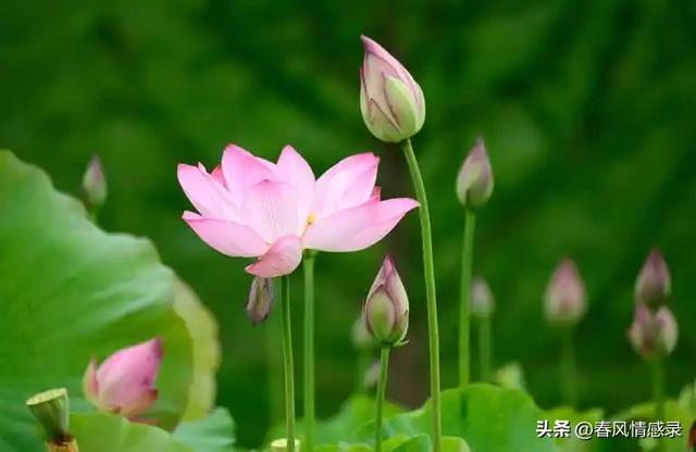 孩子的成长离不开父母陪伴,家庭教育到底有多重要?