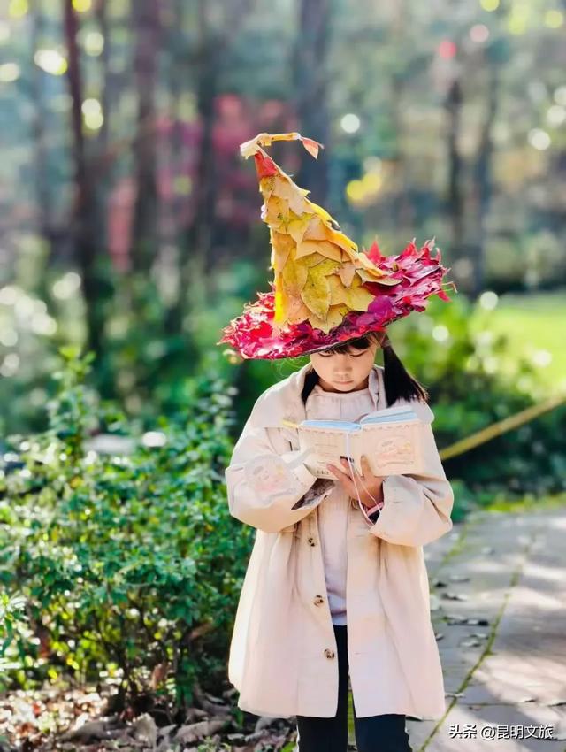 初冬氛围感出片计划，走起！昆明这份打卡攻略速速收藏→