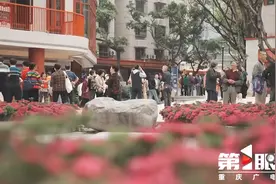 有没有你家附近的街区绿道口袋公园？“发现重庆之美”名单揭晓→图片