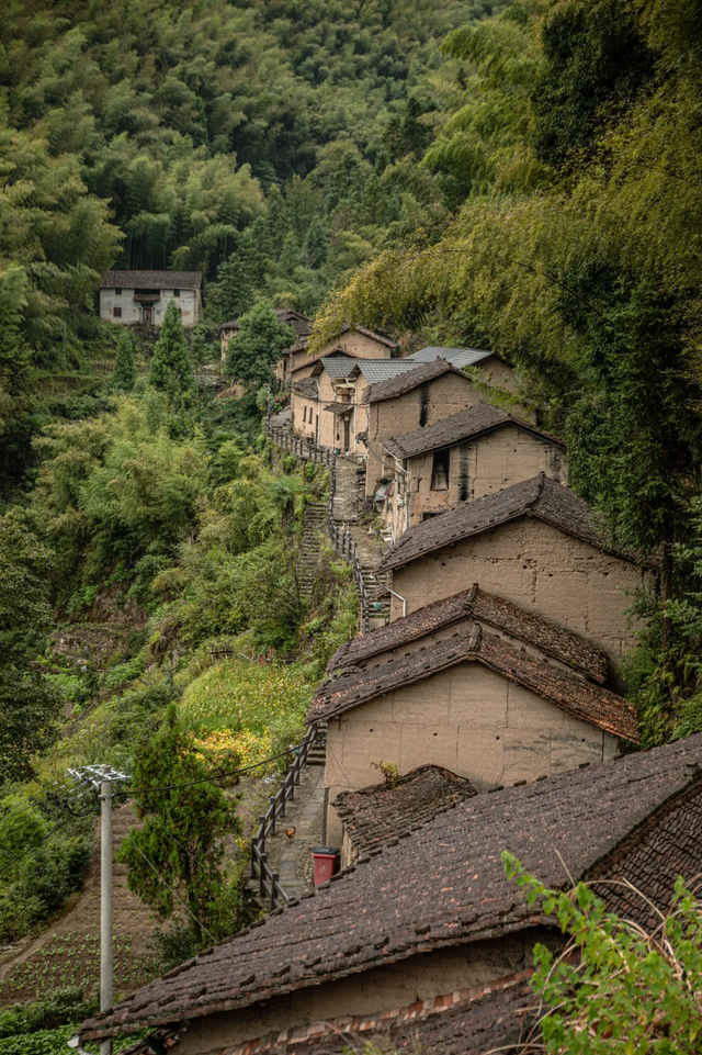 上海周边藏着7个清凉古村落，夏日均温二十多度，