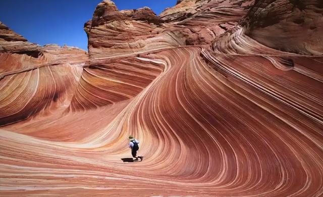 金色沙海藏粉色秘境！内蒙古这片土地，藏着哪些不为人知的秘密？