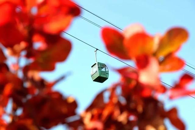 赏秋登高正当时！丰台这些好去处——