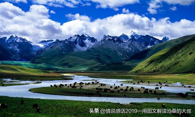 生态拷问：当商业作秀碾压藏区净土，我们如何守护最后防线？
