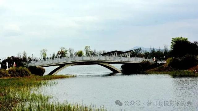 李永辉：成都东安湖掠影