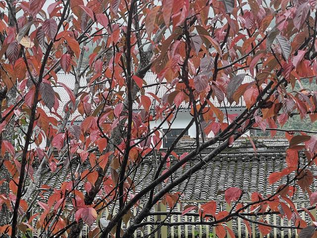 黄柏塬：山居听雨