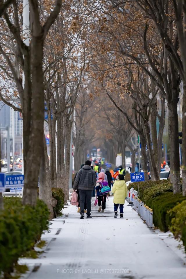 雪景大片！日照这些地方太好看了！