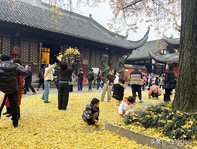 成都市中心最美银杏观赏地，这6处你去过吗？都不要门票！