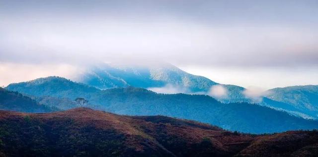冬天到攀枝花晒太阳是定律来的！