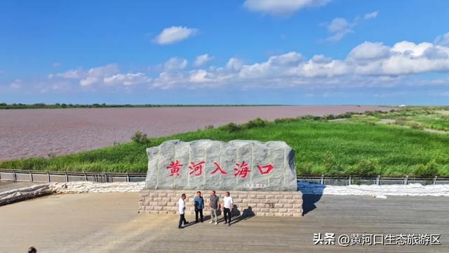【黄河口生态旅游区】以湿地为笺，用候鸟作笔 —— 致教师的自然礼赞