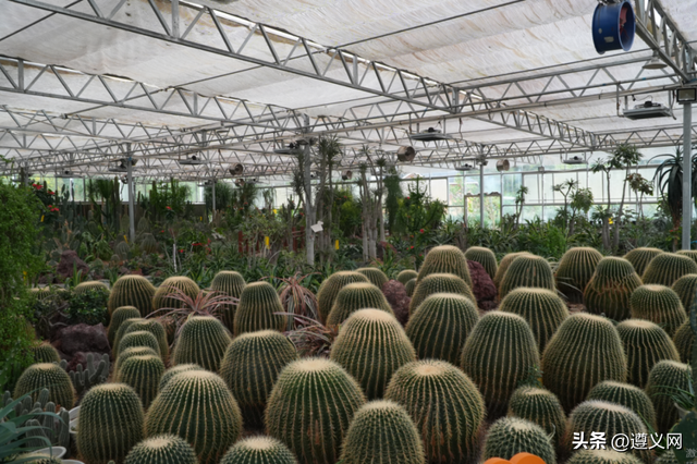 悦·遵义│赛场之外，解锁新蒲“放松+打卡+美食”三重快乐