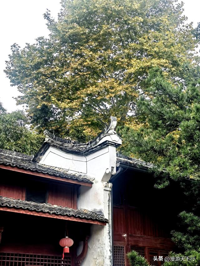 武义桃溪镇延福寺已有千年历史，它没有让我失望