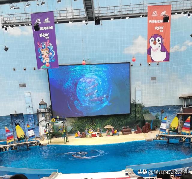 最新天津极地海洋馆一日游攻略——亲测实用!所有演出都可看完!