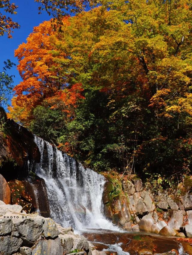 追了光雾山的红叶，这个秋天没白过！