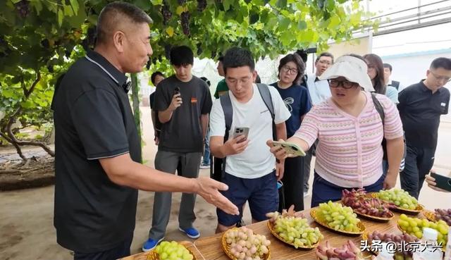 当时尚遇到数字，大兴采育这座小镇有了新答案