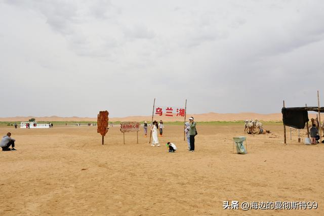 海边游记｜沙海狂飙与绿洲寻踪：内蒙古腾格里沙漠一日“历险记”