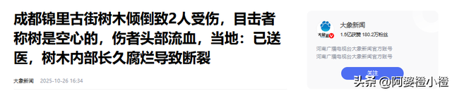 突发！武侯祠百年古柳轰然倒伏，两名游客被砸送医，现场细节曝光