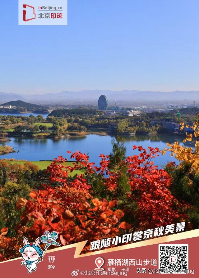 还在遗憾秋天太短暂？邀您一键保存京秋印迹