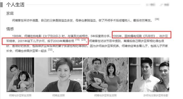 何晴为啥没要儿子的抚养权？