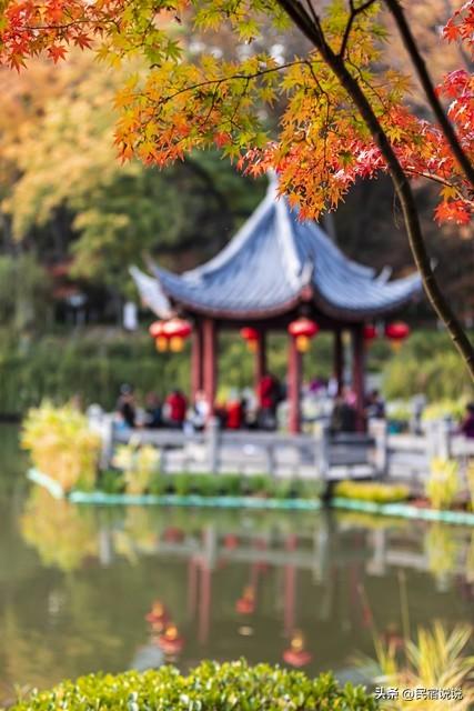 南京栖霞山突然狂圈粉！