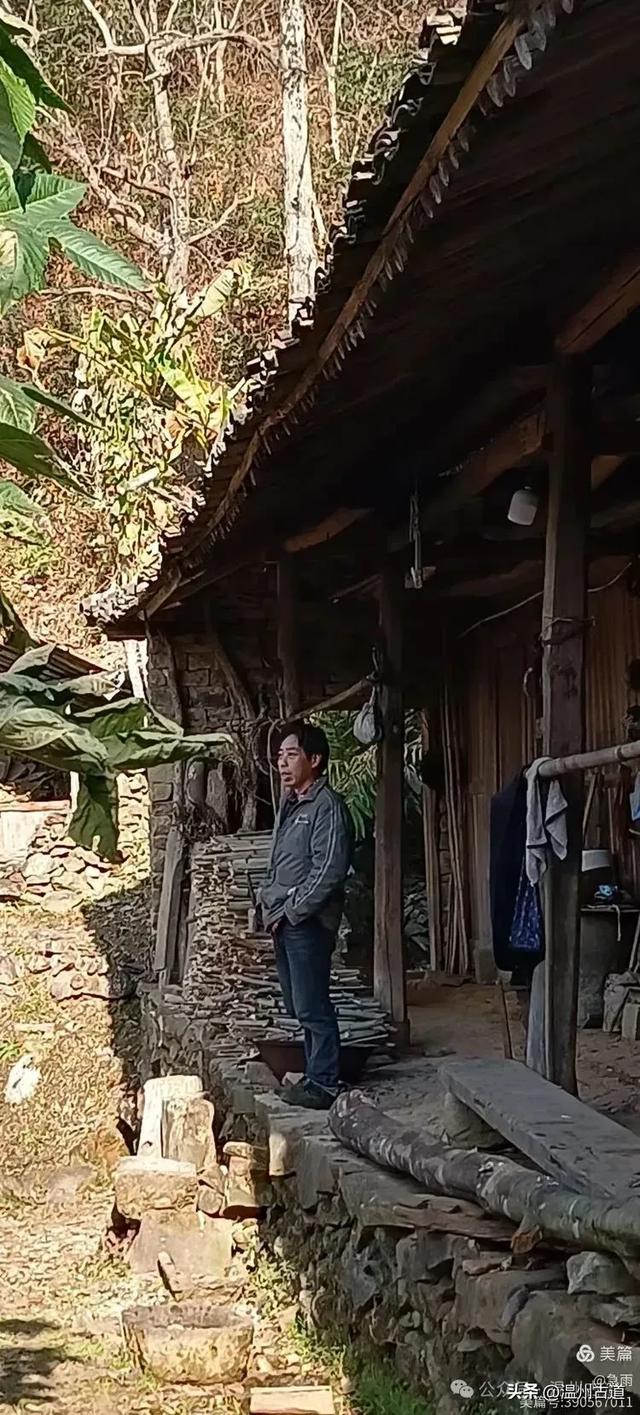 五次试走，终于揭开楠溪江源头永仙边界这条防火道的神秘面纱！
