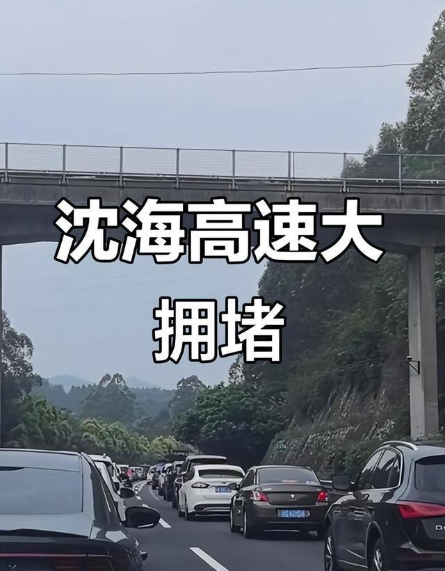 2025国庆出行报告：最堵高速、最挤景区TOP5出炉！你中招了吗？