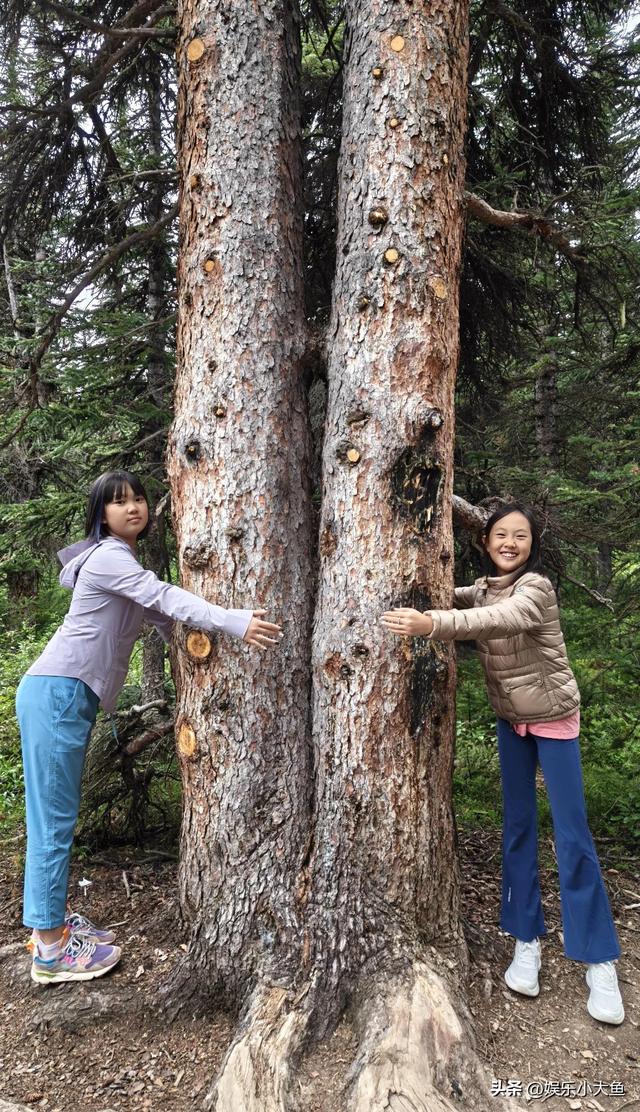 主持人杨帆一家在加拿大旅行，俩女儿一个像爸一个像妈，好幸福