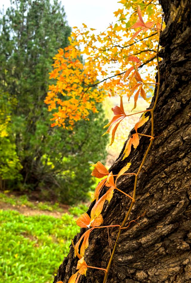 浞景无边，快乐亦无边~