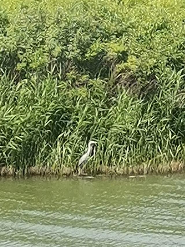 沈阳丁香湖公园