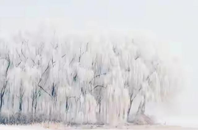 23点冬至	，“白天冬至冰三尺，晚上冬至穿单衣”，今年冬至在哪？