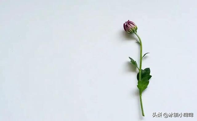 女人长期单身，会不会特别想男人？来听听3位女人的实话