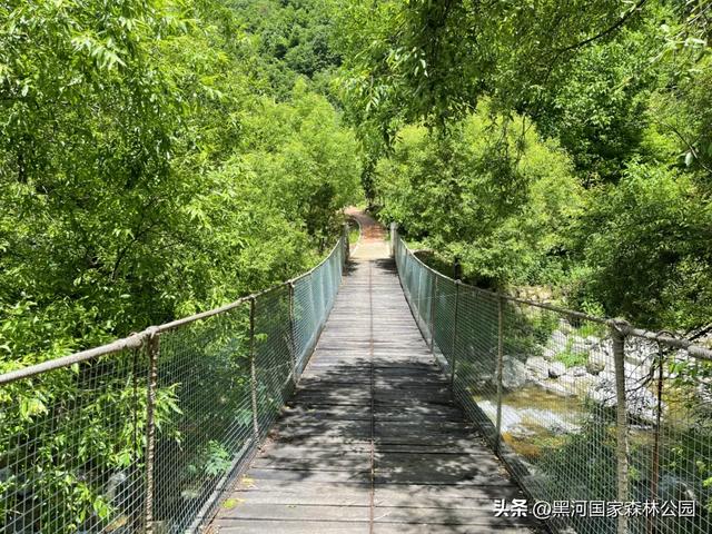 西安山美水美的清凉秘境！夏天来黑河避暑旅游太爽了！