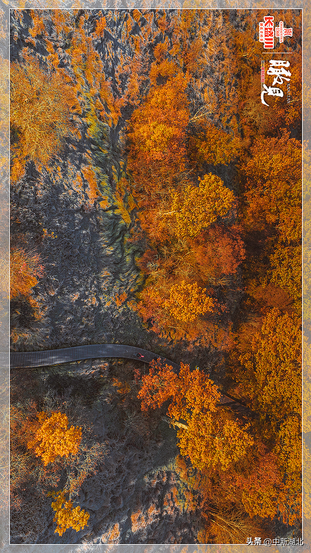 【瞰见】神农架：让心灵与自然共鸣