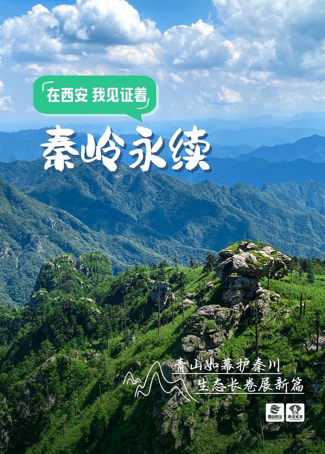在西安，我发现了……