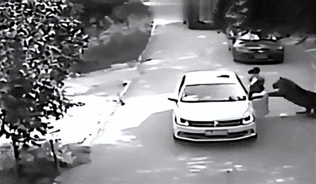 16年，母亲虎口救女被咬身亡，女儿至今未得到父亲原谅：怨谁