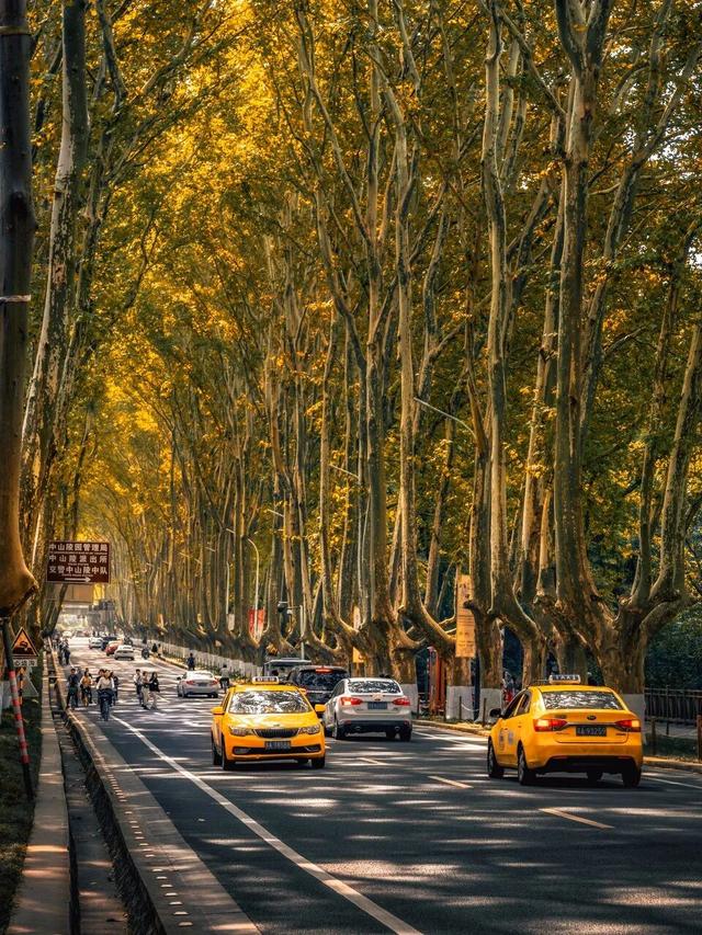 一到秋天，南京就美成了金陵