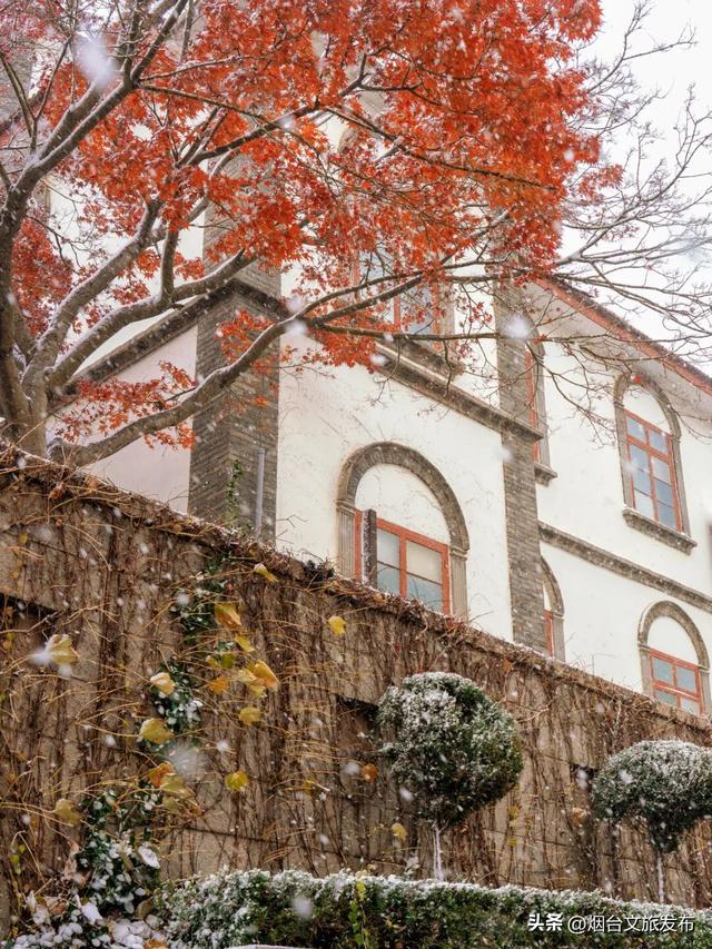 【乐游烟台】公交直达！烟台市中心神仙秘境，限时绝美