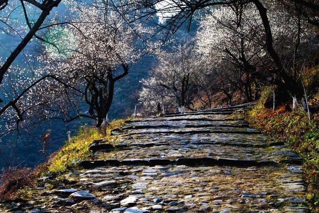 美如仙境！韶关这个地方迎来今年首场冰挂雾凇景观，秋冬来旅行，赏雪泡泉看红枫为你安排好了