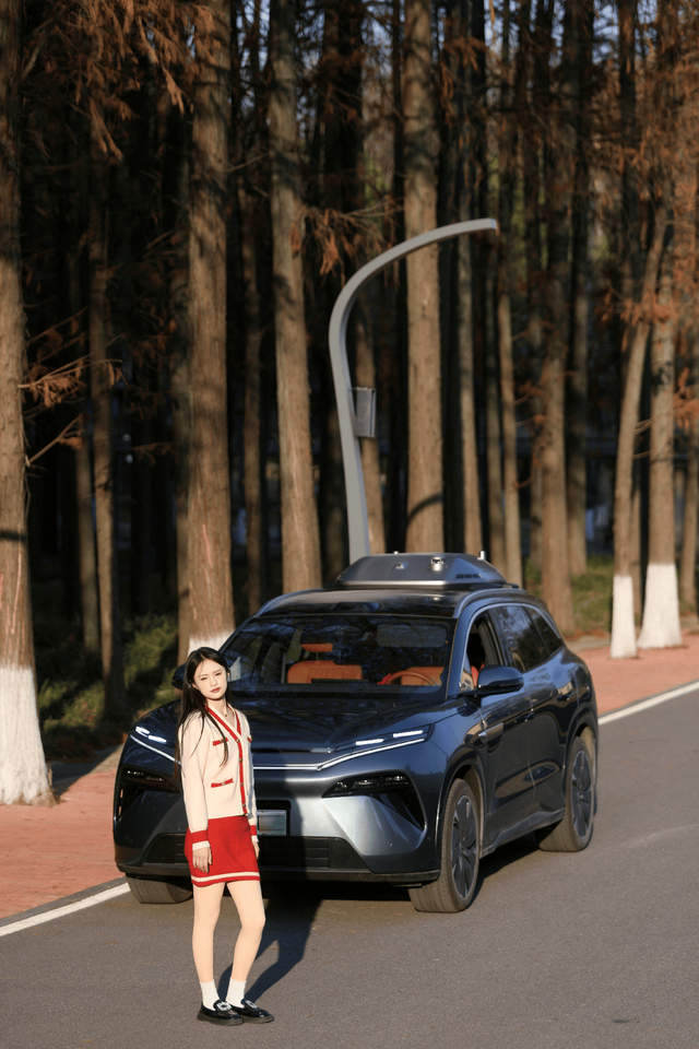 冬日寻一处静谧：与唐L同游棕树小道纪实