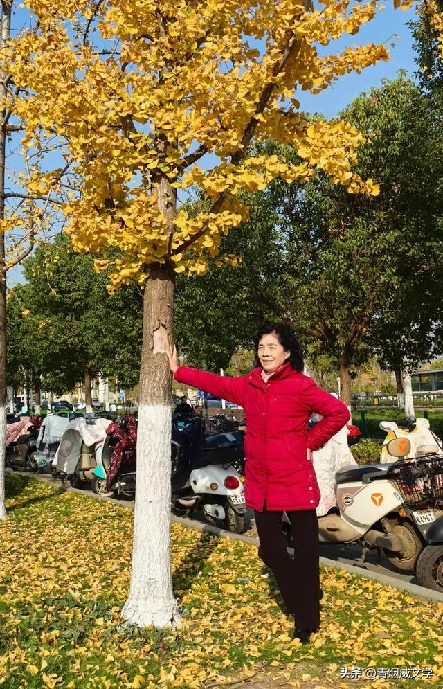 盘龙悠远银杏黄 水中学友情谊长