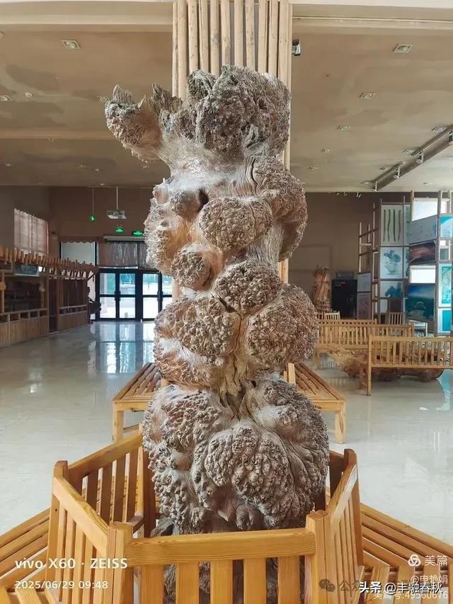 探秘新疆巴楚红海景区：自然与人文的交响｜ 申艳娟