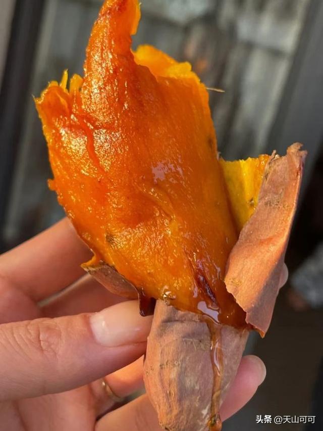 烟薯和蜜薯的区别，从7点来了解！