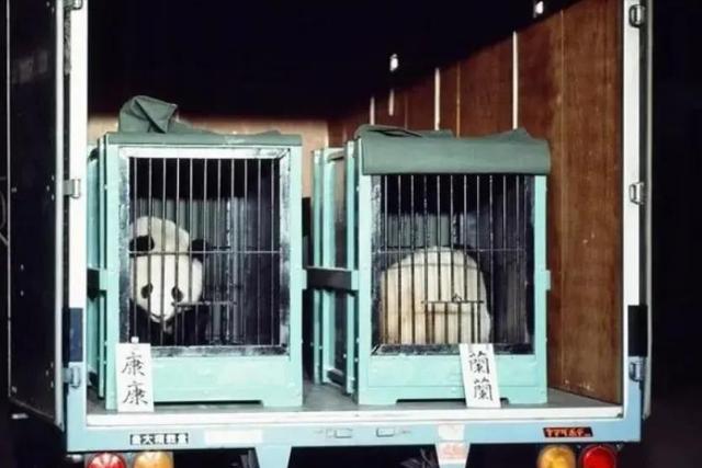 没有回旋余地，中国下令直接收回，17万日本人泪奔，高市闯祸了！