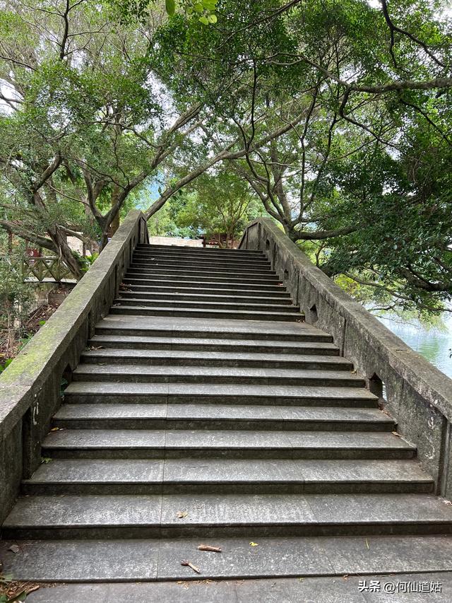 游流溪河森林公园