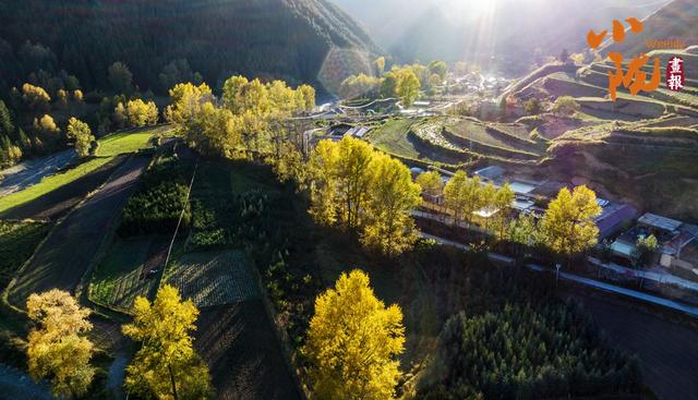 【小陇画报·431期】天祝小三峡：探寻绚烂秋色的绝佳去处