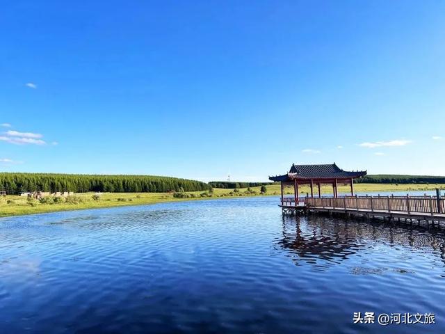八月游御道口草原森林风景区！告别城市的喧嚣！
