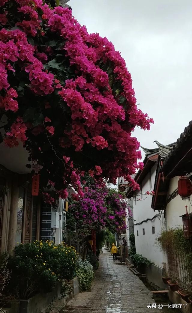 丽江古城走不完