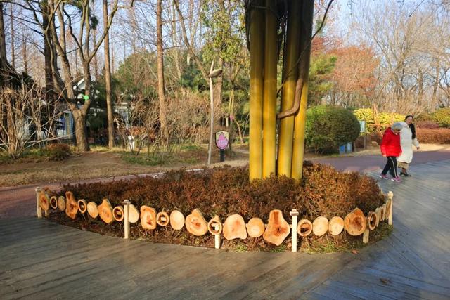 日照植物园添新景