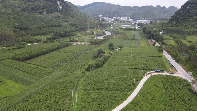 广西忻城县历史沿革及行政区划