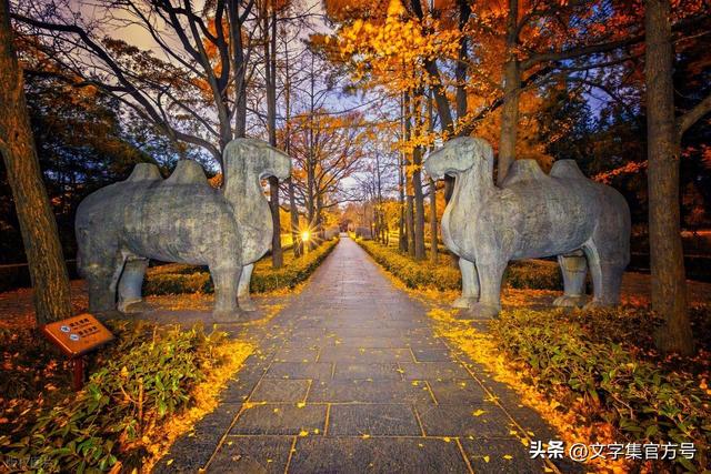 秋天夜晚发朋友圈的句子简短（精选25句）